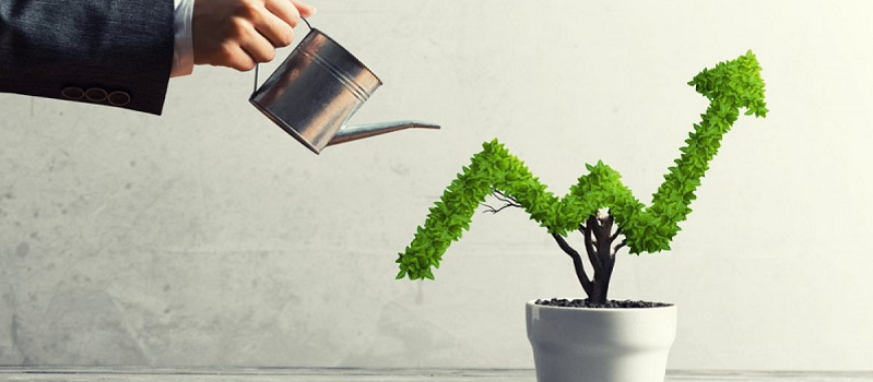 The Transformative Power Of Loans For Small Business Growth