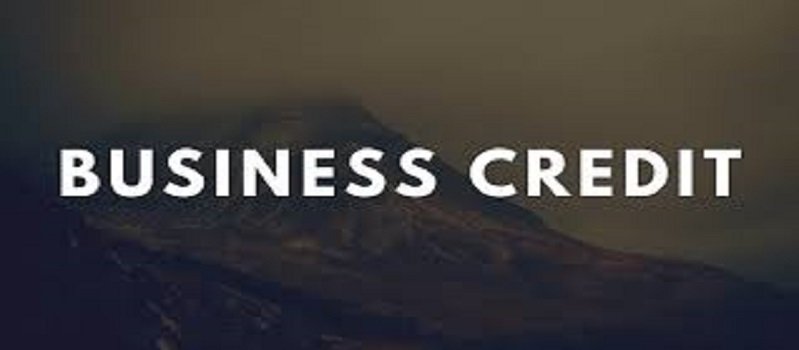 Establishing Business Credit: How do I build it?
